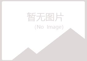 鹤岗兴山笔下工程有限公司